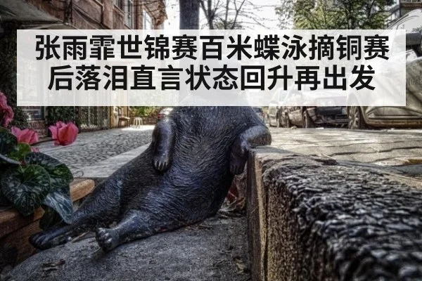 张雨霏世锦赛百米蝶泳摘铜赛后落泪直言状态回升再出发